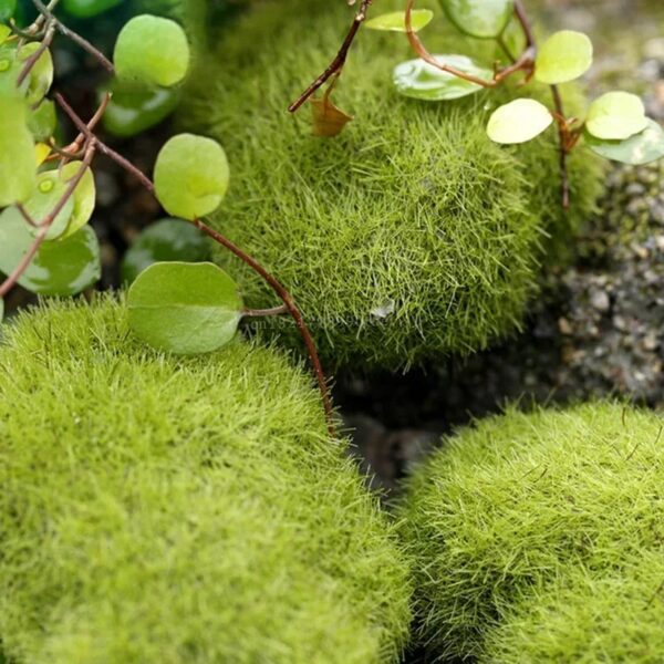 4 Size Fake Stone Artificial Moss Rocks Home Decor Simulation Plant DIY Decoration for Garden and Crafting Green - Image 3