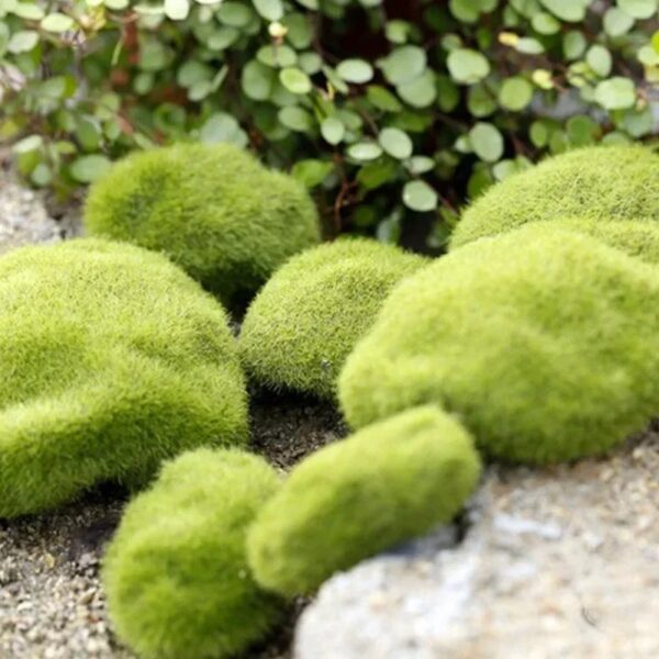 4 Size Fake Stone Artificial Moss Rocks Home Decor Simulation Plant DIY Decoration for Garden and Crafting Green - Image 4