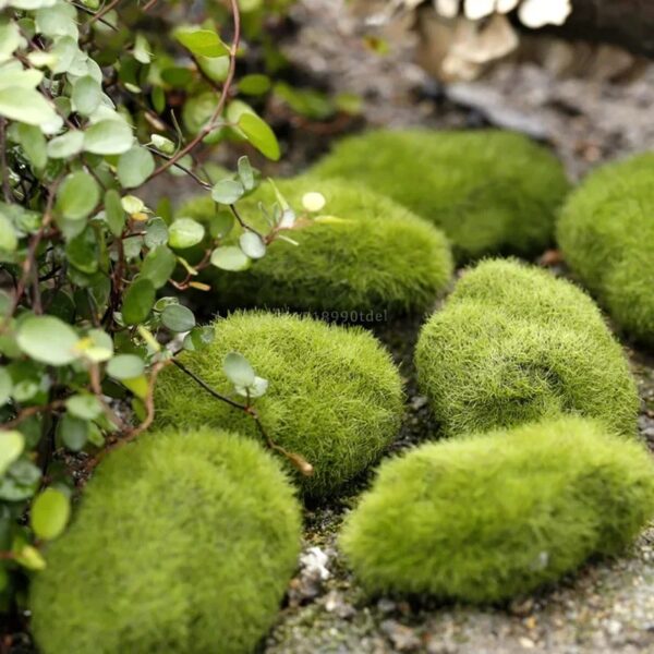 4 Size Fake Stone Artificial Moss Rocks Home Decor Simulation Plant DIY Decoration for Garden and Crafting Green - Image 5