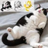 Funny Licking Butt Cat Building Block Set Compatible with Lego Creative Gift Toy